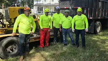 Tree Service Pro Team - Affordable Tree Removal Professionals