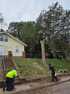 Tree Cutters Tree Professionals in Piedmont