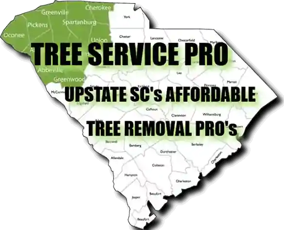 Affordable Tree Service in Travelers Rest- Tree Removal Near Me - SC